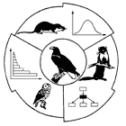 Monitoring Greifvögel und Eulen